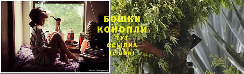 купить наркотик  Знаменск  Канабис White Widow 